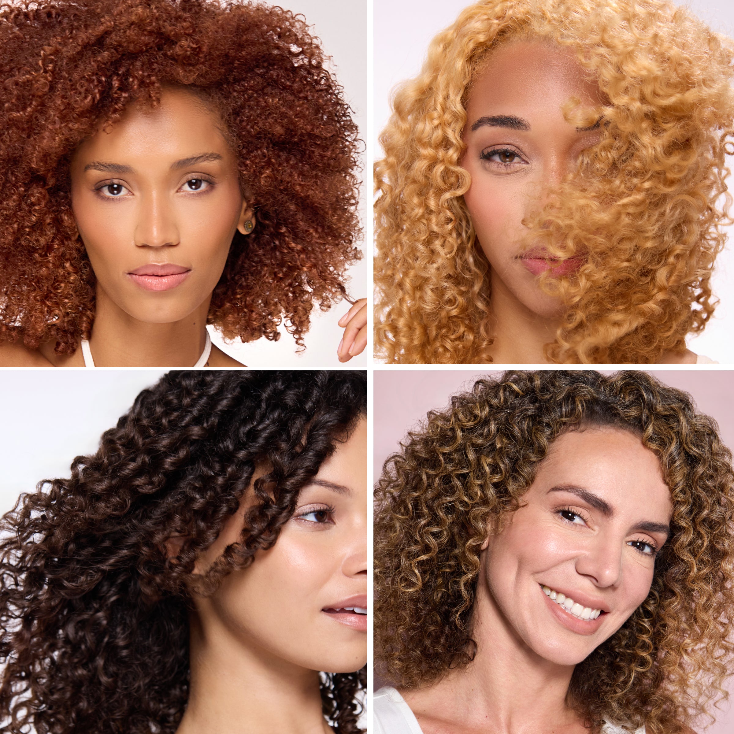 Four women with different curl types showcasing healthy, defined curly hair.